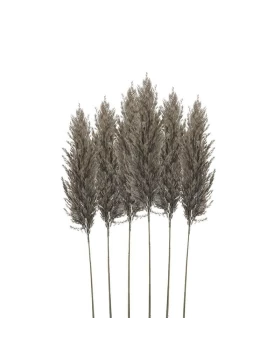 S/6 Κλαδί/Φυτό Γκρι/Καφέ Pampas Grass 3-85-909-0012