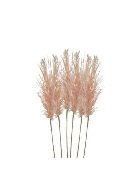 S/6 Κλαδί/Φυτό Ροζ Pampas Grass 3-85-909-0015