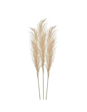 S/3 Κλαδί/Φυτό Ροζ Pampas Grass 3-85-909-0017