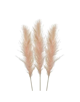S/3 Κλαδί/Φυτό Ροζ Pampas Grass 3-85-909-0019