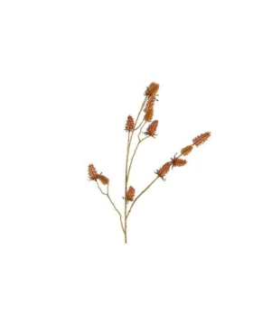 Κλαδί Cardus πορτοκαλί H90cm 013.780709