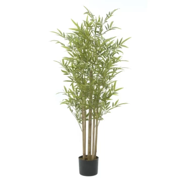 Φυτό Σε Γλάστρα Πράσινο 3-85-783-0035