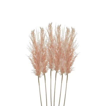 S/6 Κλαδί/Φυτό Ροζ Pampas Grass 3-85-909-0015