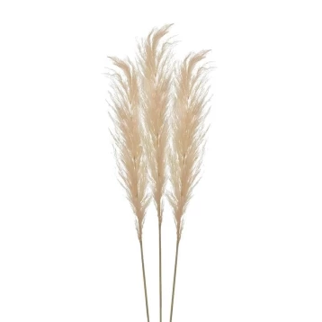 S/3 Κλαδί/Φυτό Ροζ Pampas Grass 3-85-909-0017