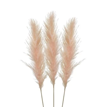 S/3 Κλαδί/Φυτό Ροζ Pampas Grass 3-85-909-0019