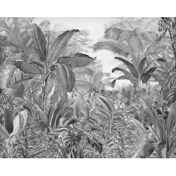 Φωτοταπετσαρία Τοίχου Into Wonderland Roraima IAX7-0003 Komar