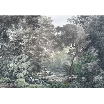 Φωτοταπετσαρία Τοίχου Into Wonderland Wood Wide Web IAX8-0063 Komar