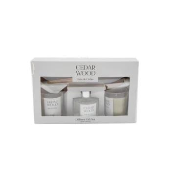 Σετ Diffuser 50ml και 2 ποτήρια με Kερί cedar wood 014.FR1432